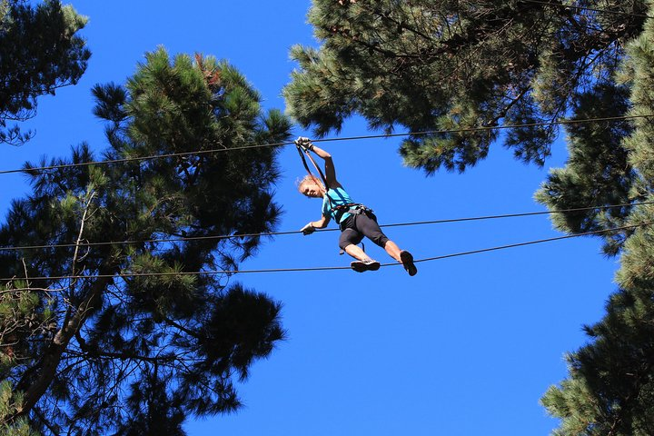 Soar among the trees in Auckland navigating inventive challenges high above the ground. Capture exhilarating moments as you embrace the adventure of New Zealand’s stunning forest canopy.